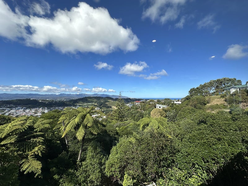 Image 1 of 13