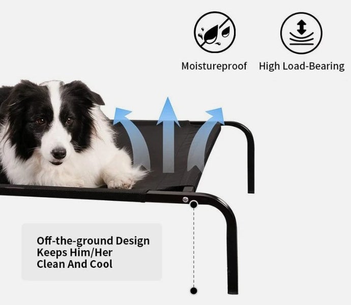 Elevated Pet Bed Breathable Medium Carousel 6