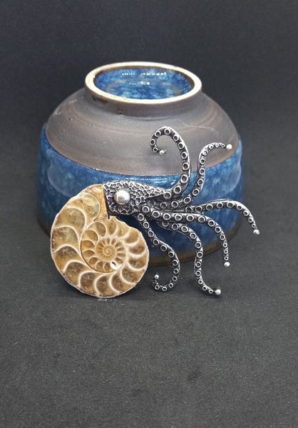 Ammonite fossil brooch Carousel 1