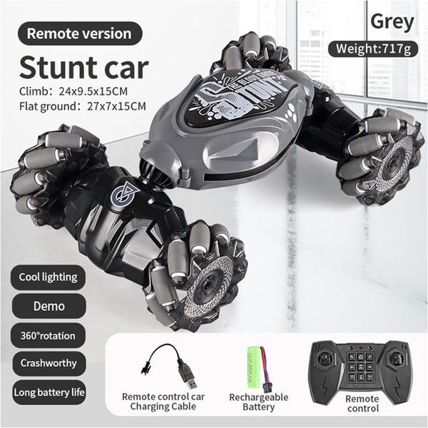 RC Cars Electric Carousel 2