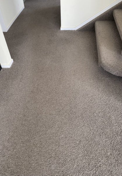 Carpet with underlay approx 30 sqm Carousel 1