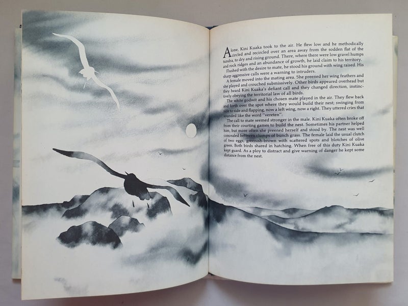 Gray Prebble: The BIRDS of SUMMER (NZ, 1977, hbk with dj) Carousel 7