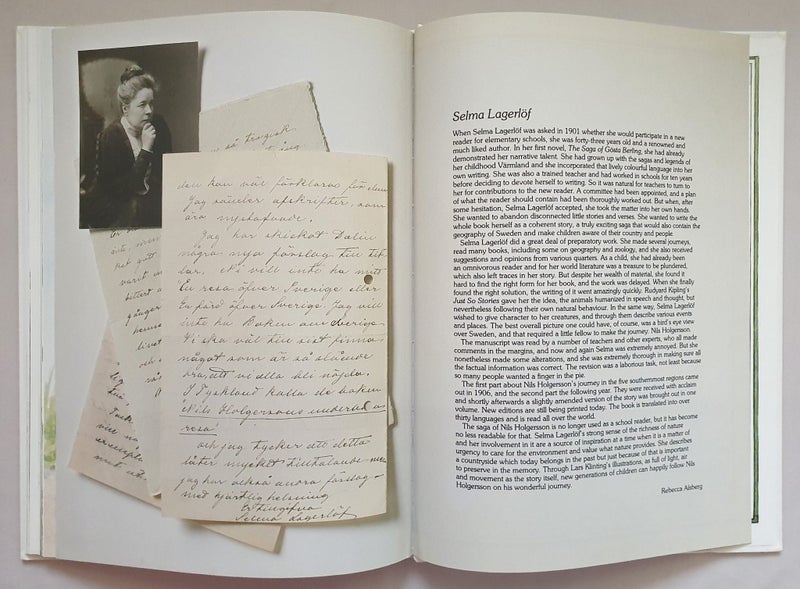 Selma Lagerlof: The WONDERFUL ADVENTURES of NILS (hbk, illstd by Lars Klinting) Carousel 11