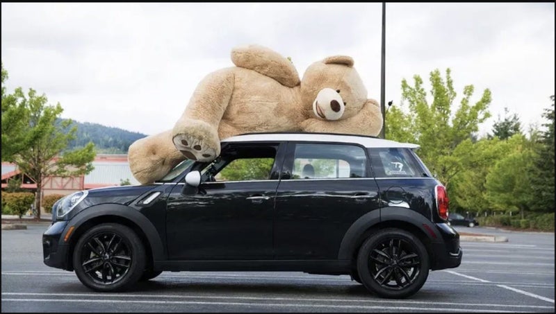 Giant teddy bear Carousel 3