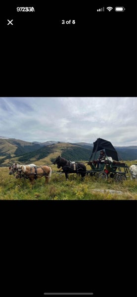 Small Pony Carriage/Wagon/ Cart62939543707009111