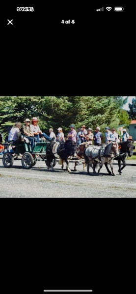 Small Pony Carriage/Wagon/ Cart62939543707009112