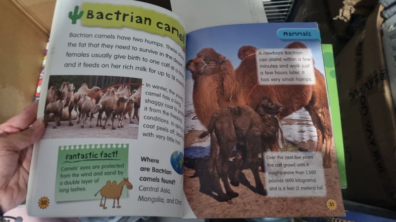 $1 Res - My first book of Animal Babies Carousel 2