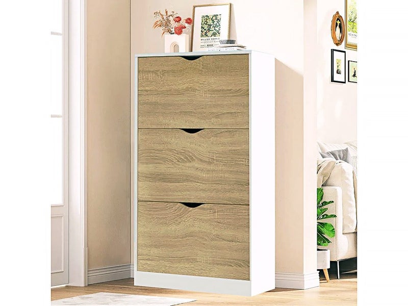 Shoe Cabinet Carousel 1