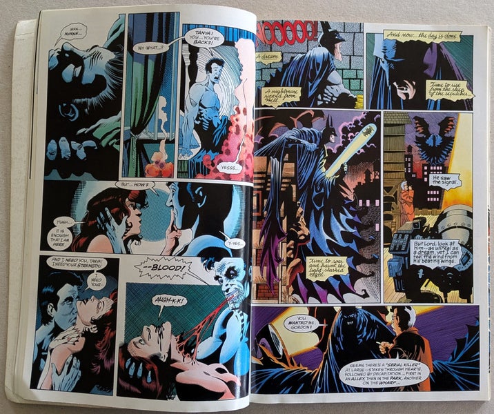Batman - Bloodstorm by Doug Moench- First Edition 1994 - Very Fine Condition Carousel 2