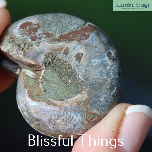 Ammonite Pair with Opal (TMz181) Carousel 2