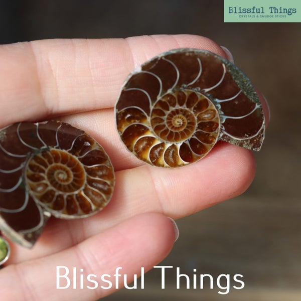 Ammonite Pair with Opal (TMz181) Carousel 1