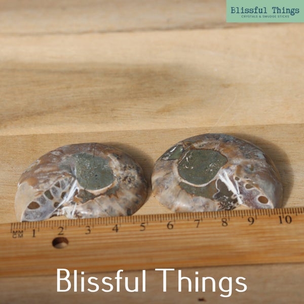 Ammonite Pair with Opal (TMz182) Carousel 2
