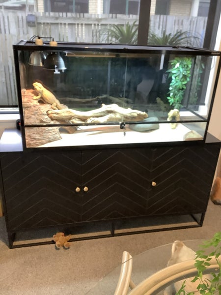BEARDED DRAGON & accessories Carousel 2