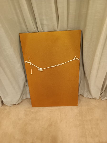 Mirror - Gold frame 58cm x 88cm Carousel 3
