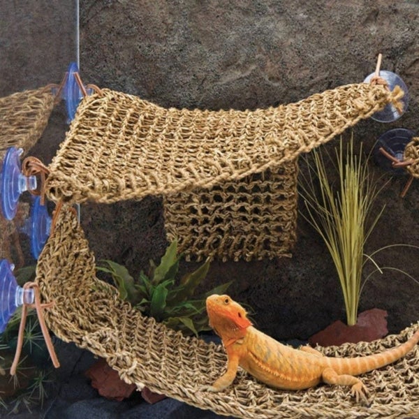 1pc Reptile Hacammock Hanging Swing Lizard Bearded Basking Platform Lounger D... Carousel 1