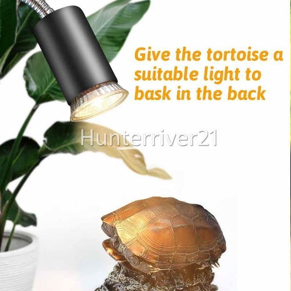 E27 Reptile Heating Light Turtle Lizard UVB + UVA Pet Heat Lamp Clip Holder Carousel 9