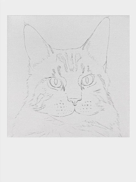 Custom Pet Portrait – Hand-Painted Oil or Digital Painted Style | 40x40cm Framed Carousel 2