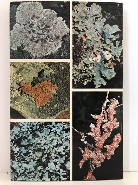NEW ZEALAND LICHENS by William Martin and John Child 1972 1st edition Carousel 2