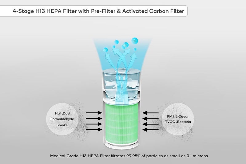 Replacement H13 HEPA Filter for Smart Purifier 2S / 2S+ Carousel 2