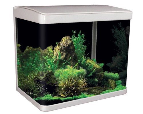 Aquariums Carousel 1