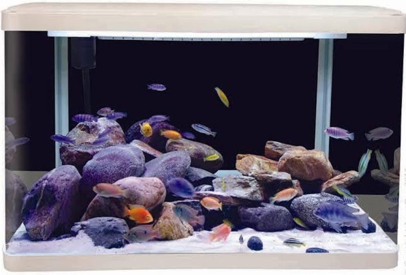 Aquariums Carousel 3