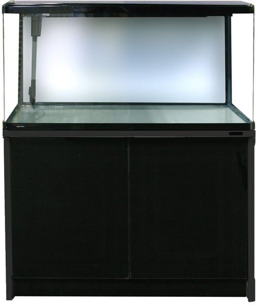 Aquariums Carousel 6