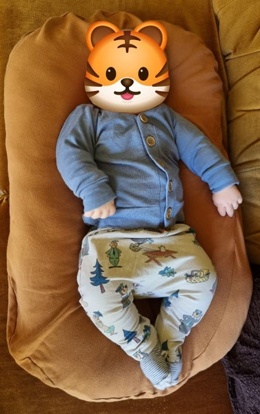 Baby Nest/Lounger Carousel 2