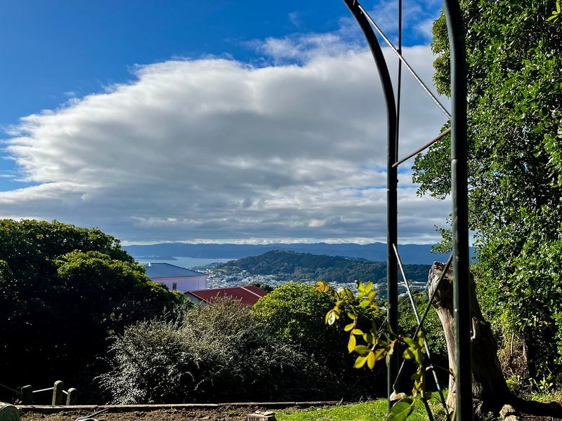 Image 1 of 8
