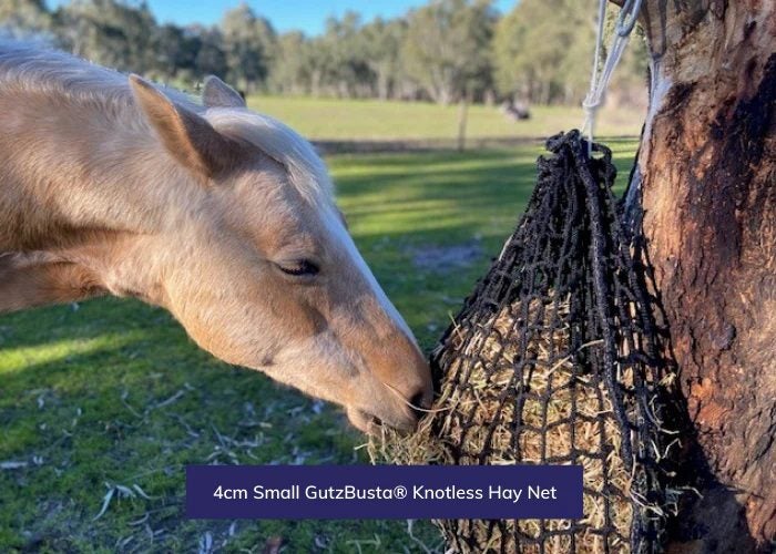 Hay Net - small 60mm Squares GutzBusta® Knotless Carousel 1