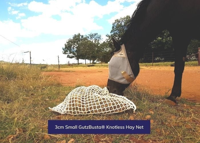Hay Net - small 60mm Squares GutzBusta® Knotless Carousel 2