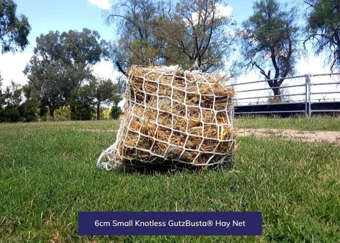 Hay Net - small 60mm Squares GutzBusta® Knotless Carousel 10