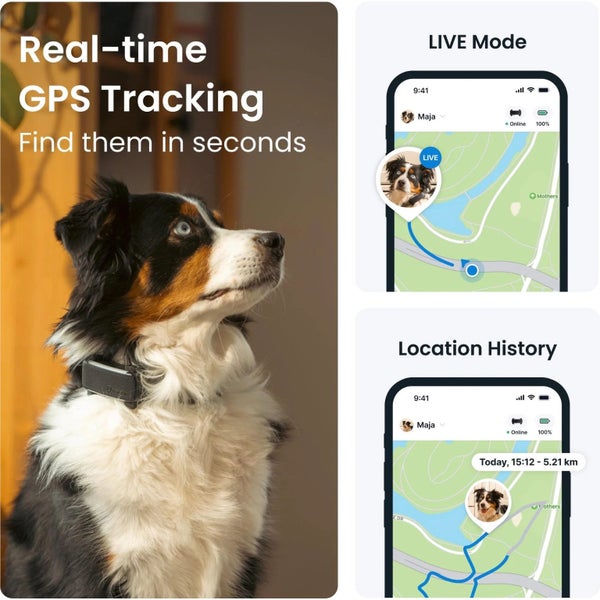 Tractive GPS Tracker Dog 6 (Black) Carousel 2