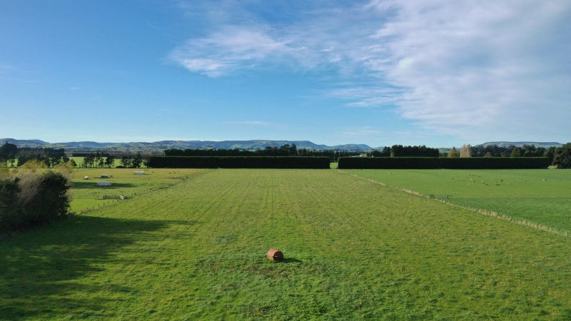 Image 2 of 9