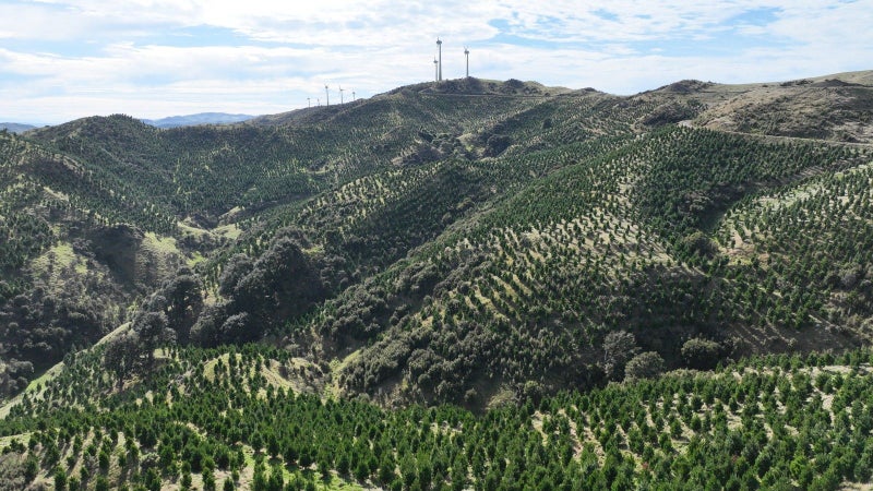 Image 1 of 8