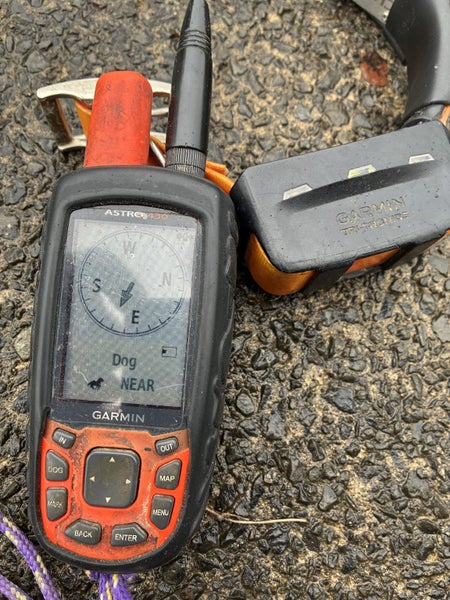 Garmin gps and collar Carousel 2