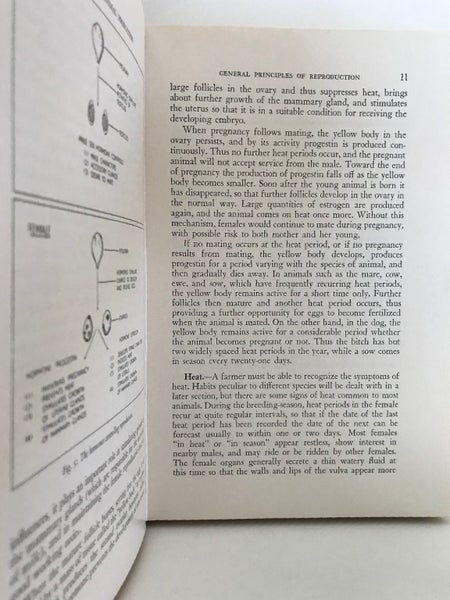 PRINCIPLES OF ANIMAL PRODUCTION by C.P. McMeekan 1966 Carousel 9