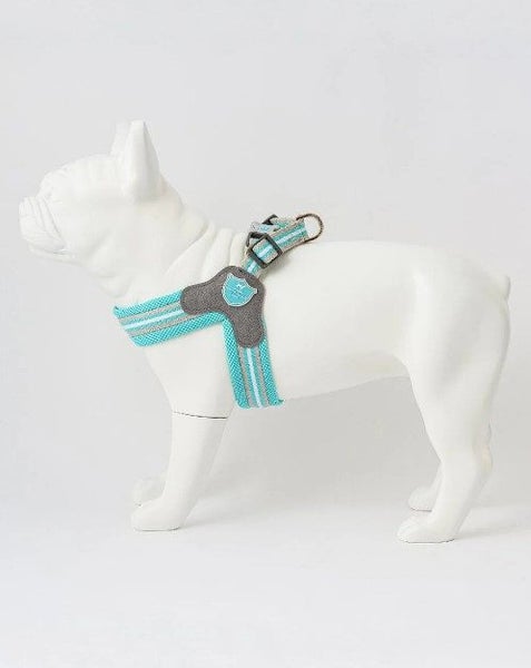 Medium Dog Easy Harnsss by Hugo & Hudson Carousel 1