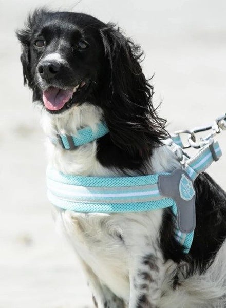Medium Dog Easy Harnsss by Hugo & Hudson Carousel 2