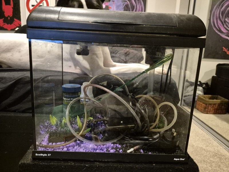 Fish tanks Carousel 2