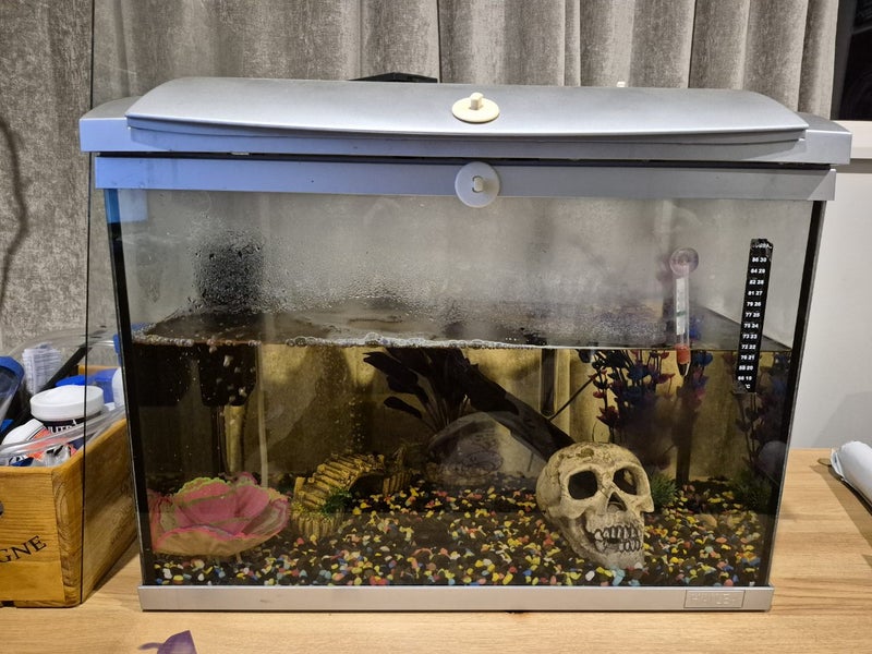 Fish tanks Carousel 5