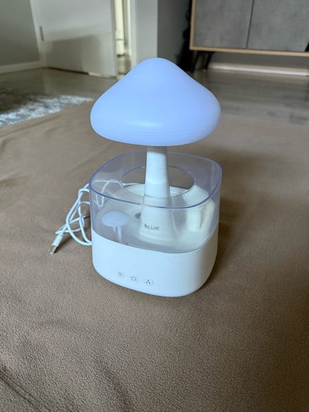 RGB Rainfall Scent Diffuser Carousel 1