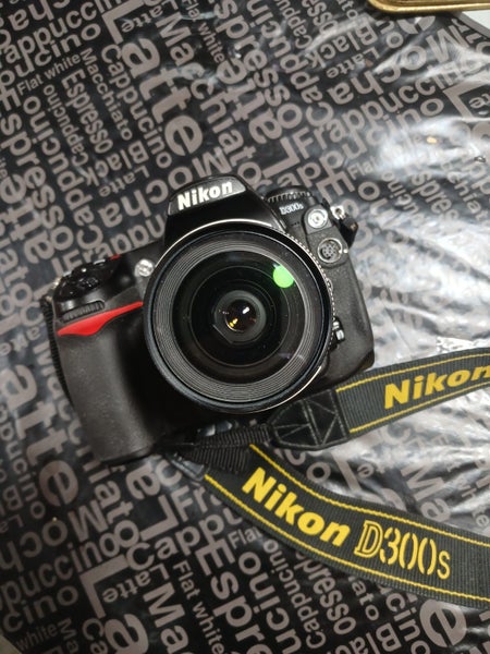 Nikon D300S Carousel 1