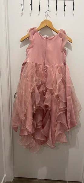 Girls dress Carousel 2
