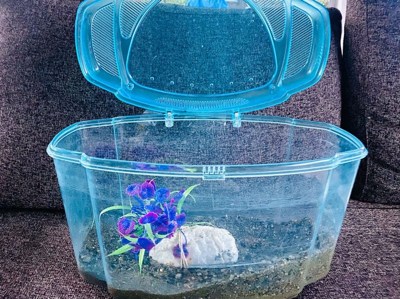 Fish tank with accessories and 4 goldfish Carousel 1