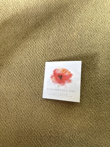 Remembrance Day 2015 Carousel 2