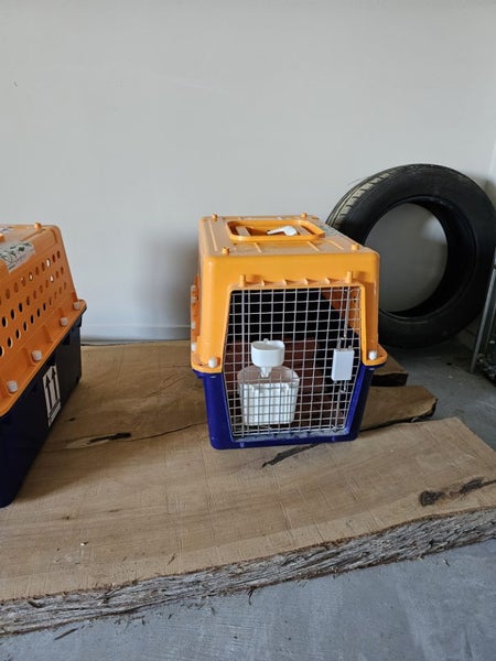 Animal cage Carousel 1
