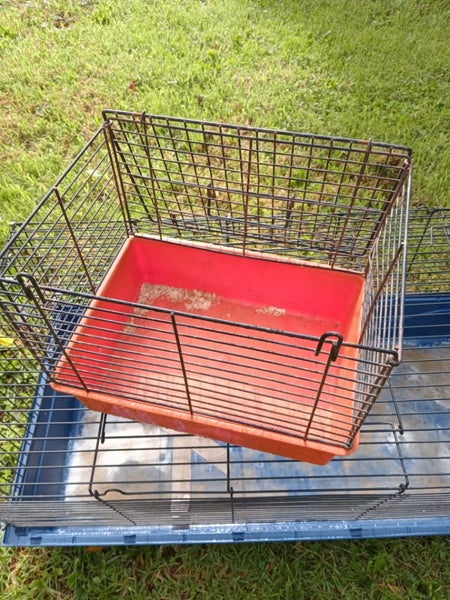 Pet gear Carousel 2