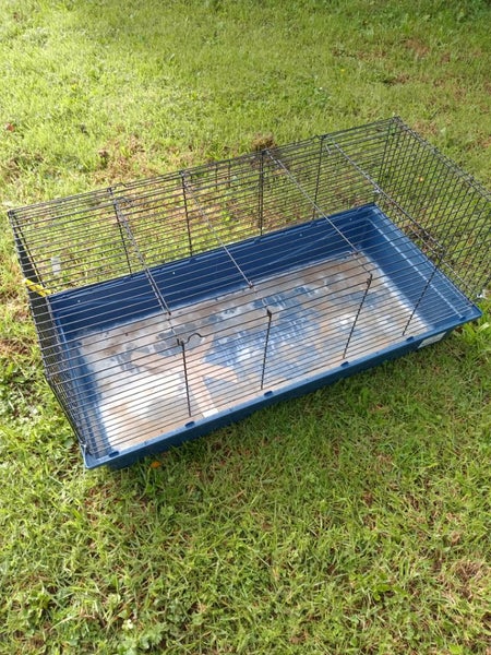 Pet gear Carousel 5