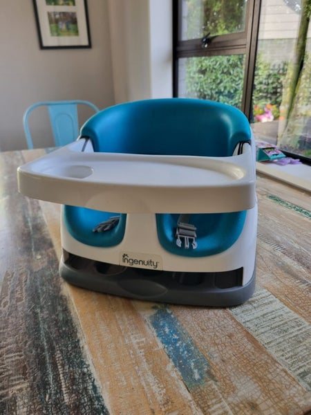 Ingenuity baby seat Carousel 2