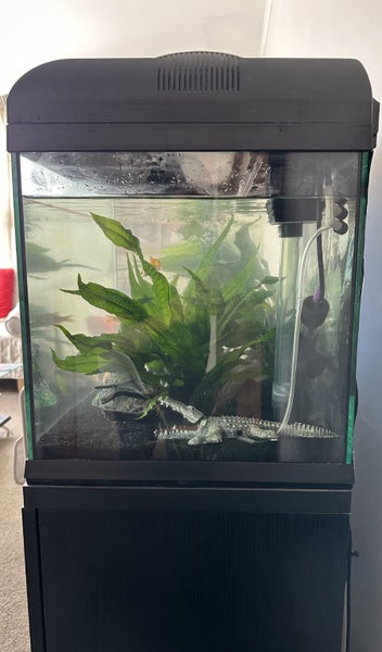 Complete Tropical Fish Tank + Cabinet + Fish + Supplies – Must Go! Carousel 2